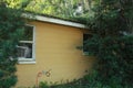 Overgrowth on top of a Florida residence yellow tresy